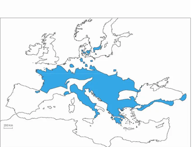 Figura 9. Distribuzione geografica di R. dalmatina in Europa. 