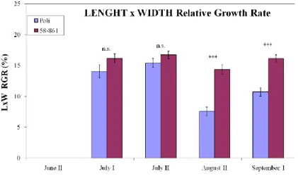 Fig.  6b.  Tasso  di  crescita  fogliare  relativo,  espresso  in  percentuale  nei  due  genotipi 