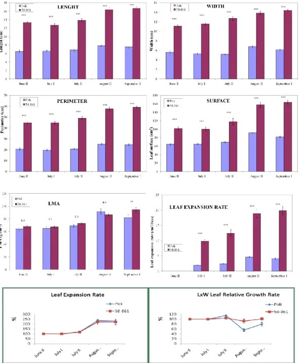 Fig. 8. Confronto delle variazioni stagionali delle caratteristiche morfologiche fogliari dei 