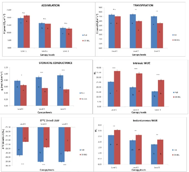 Fig.  14.  Confronto  intra-canopy  dei  parametri  fisiologici  fogliari:  valutazione  generale 