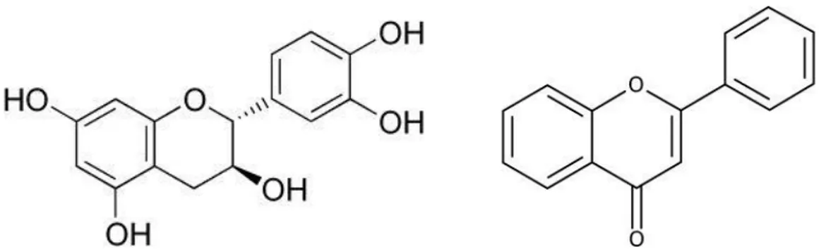 Figure 2 – Chemical structures of Catechins (left) and Flavones (right).  
