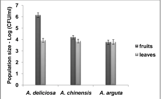 Figure  1  -  Total  bacterial  population  on  fruits  and  leaves  of  three 