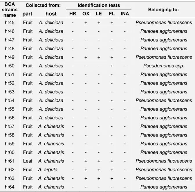 Table 3 – Main characteristics of selected BCAs. Identification tests: HR (hypersensitive 