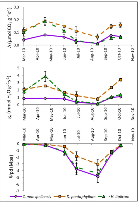Figura 16. Andamento annuale dei tassi di fotosintesi netta (Figura 16a), di conduttanza stomatica(Figura 16b) e dei  potenziali idrici fogliari di base(Figura 16c) nel corso del 2010 