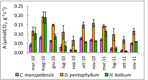 Figura 17. Valori di fotosintesi netta misurati durante il periodo di studio: le barre indicano l’errore standard