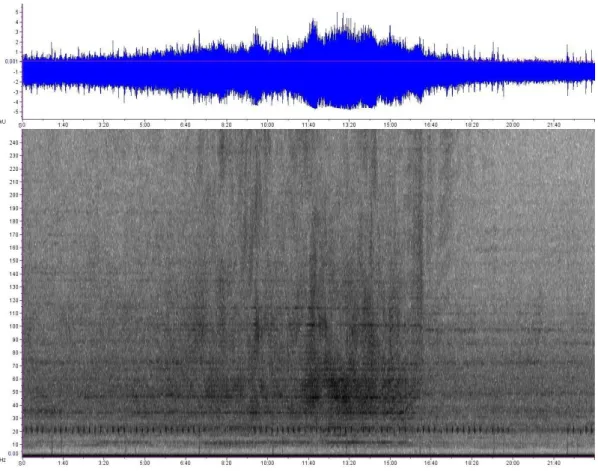 Illustrazione  13:   Balenottera   comune   in   presenza   di   un   traghetto,   evidente   la   sequenza di segnali tra 19 e 24 Hz.