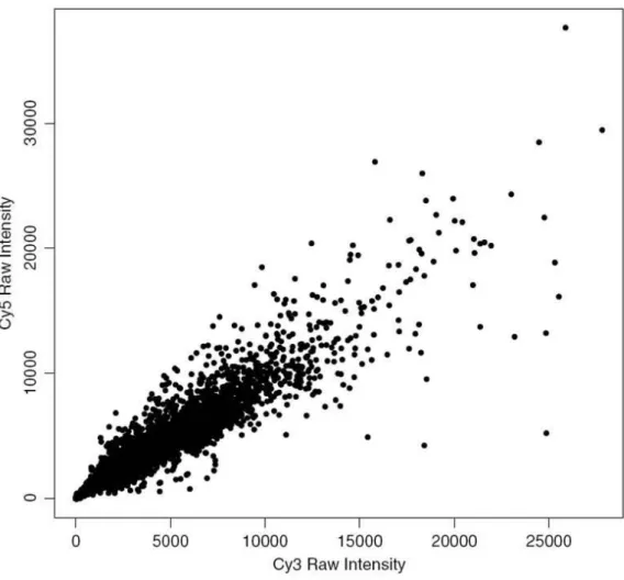 Figura 16 Grafico dei dati logaritmici utilizzato per verificare la linearità dei dati.