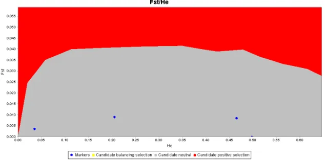 Fig. 7.2.  Confronto  tra  valori  di  F ST  ed  eterozigosi per  i  loci  polimorfici  nel  campione 