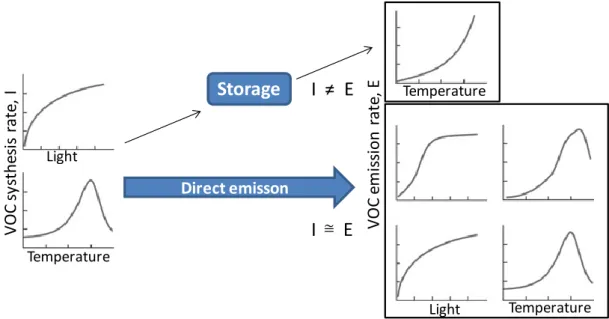 Figure 7-1  Schematic about the relationship between light and temperature controls of BVOC synthesis rates (I), and  light and temperature controls of BVOC emission rates (E) (Grote, et al., 2008)