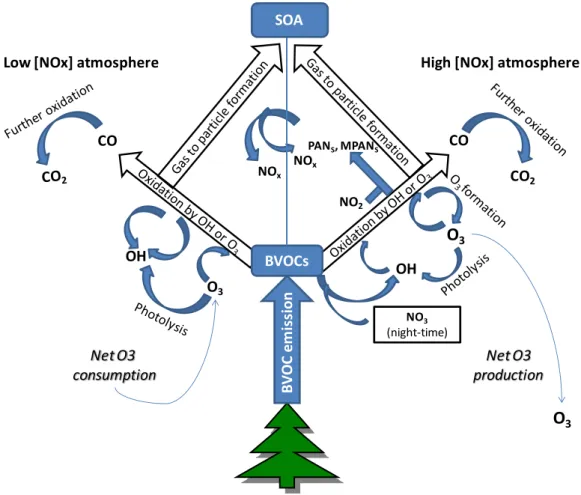 Figure  2-2  Schematic  diagram  summarizing  the  current  understanding  of  the  roles  of  biogenic  volatile  organic  compounds (BVOCs) in the chemical components of the Earth system (Laothawornkitkul et al., 2009)