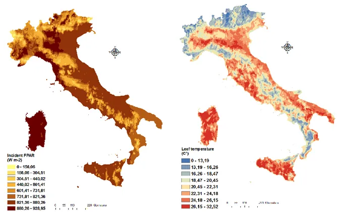Figure 3-4 Example of the geographic distribution of FPAR and Leaf temperature in Italy obtained for July 29nd, 2006