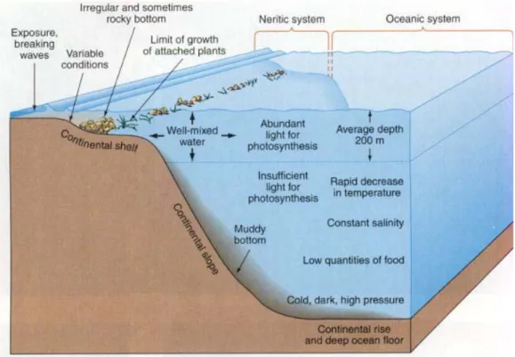 Figure 1.2 General characteristics of the marine environment as reported by Ross (1995) 