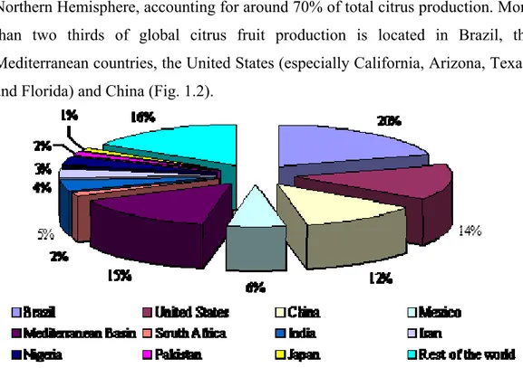 Figure 1.2   Geographical distribution of fresh citrus production for 2000-2004, as extracted 