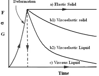 Figure 2.9  The relaxation test used to distinguish the mechanical response of an ideal solid or 
