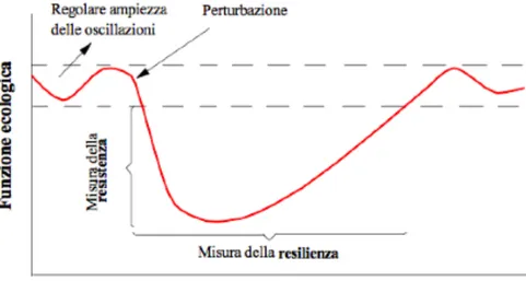 Figura 2.9 Stabilità dei sistemi ecologici 