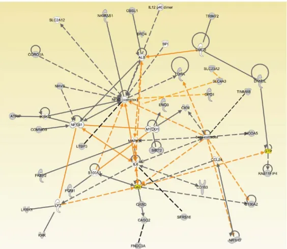 Figure  5. Top network from network analysis via Ingenuity Pathway Analysis in Casertana merged protein 