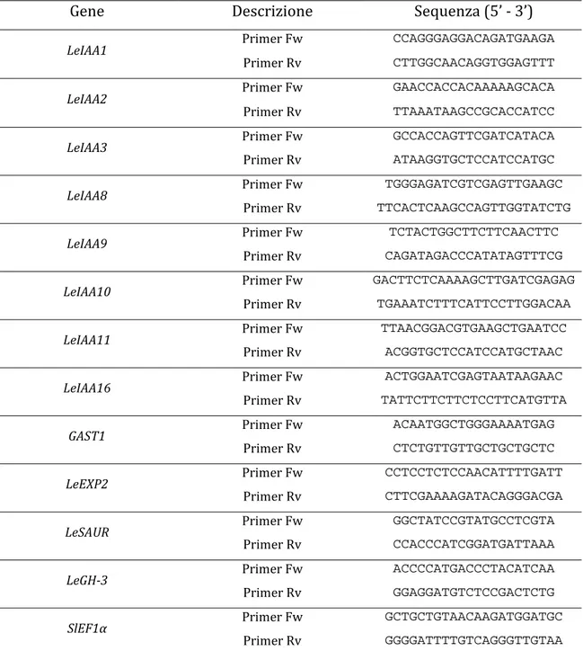 Tabella 2-3  Elenco  dei  primers  per  Real-Time  PCR  (SYBR ®   Green)  dei  principali  geni  di 