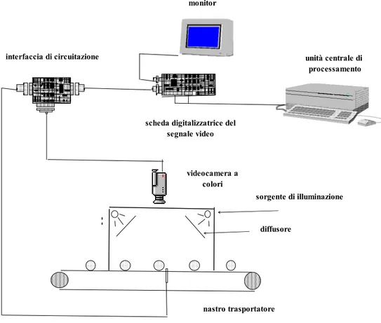 Fig. 5. Rappresentazione schematica di un sistema di elaborazione ed analisi delle  immagini utilizzato per la selezione di prodotti ortofrutticoli a punto fisso (Menesatti,  1995)  unità centrale di  processamentomonitor videocamera a  colori nastro trasp