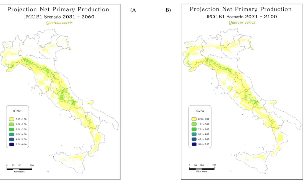 Figura 19: A – Carta della Proiezione della Produzione Primaria Netta  potenziale del cerro secondo lo scenario B1 per l’anno medio 2050;  B - Carta della Proiezione della Produzione Primaria Netta potenziale del cerro secondo lo scenario B1 per l’anno med