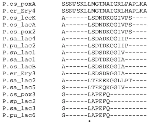 Fig.  7.  Alignment  of  laccase  sequences  of  Pleurotus  species  available  in  the 