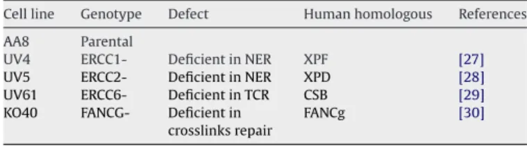 Table 1 Cell lines used.