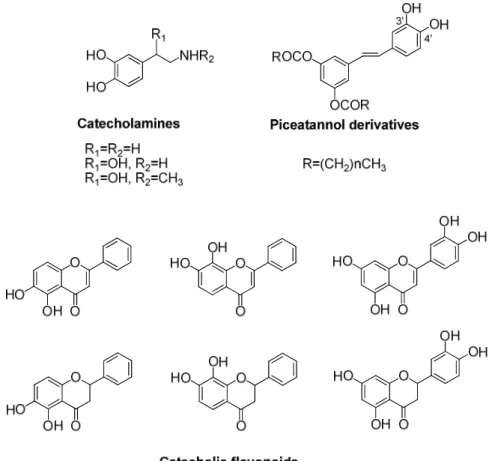 Figure 4. Catecholic compounds prepared by IBX-strategy 