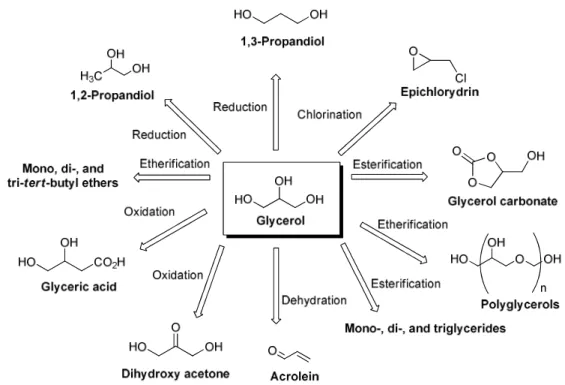 Figure 6. High added-value compounds derived from glycerol 