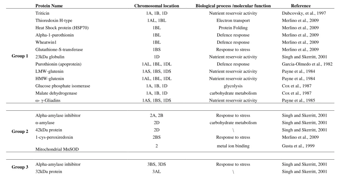 Table 9: Chromosomal location of wheat proteins  