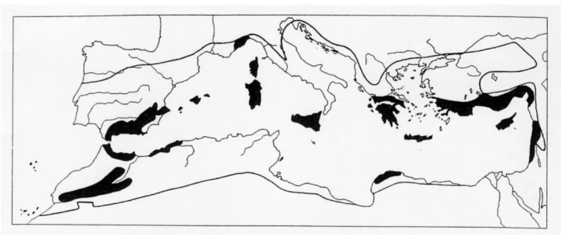 Fig. 2  Aree (in nero) del bacino mediterraneo riconosciute come hotspots di                biodiversità da Quezel (1995), ossia quando i tassi di endemismo                 superano il 10% della flora locale 