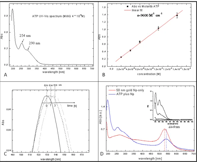 Fig.  2.7.  Sample  checking  by  UV-Vis  measurements  has  shown:  for  4-ATP  the  characteristic  UV  profile 