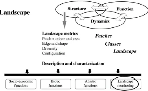 Figura  41–  Campi  di  applicazione  delle  landscape  metrics  e  correlazione  di  queste  con  l’analisi  delle  dinamiche  e 