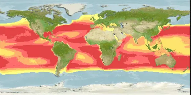 Figure  2.  Geographic  distribution  range  of  swordfish.  Probability  of  occurrence  increase from yellow to red (Source: Kaschner et al., 2008)