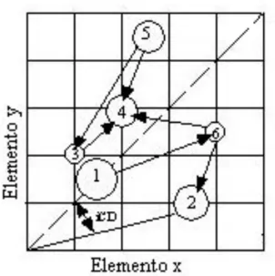 Figura  4.4.2  Diagramma  trofochimico  di  un’ipotetica  rete  contenente  sei  specie  (da  Woodward  &amp;  Hildrew, 2002)