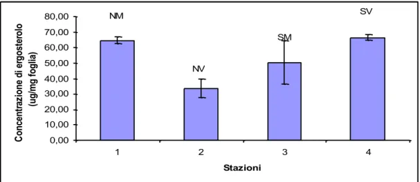 Fig. 6.3.2 Andamento della concentrazione di ergosterolo nelle quattro  stazioni di  campionamento 