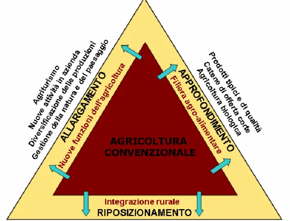 Fig. 1.1 – Il triangolo del valore dell’agricoltura moderna 