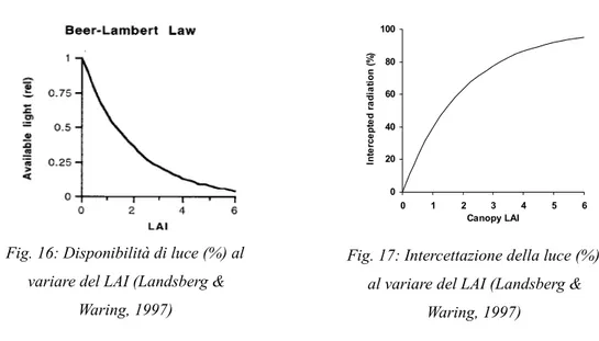 Fig. 17: Intercettazione della luce (%)  al variare del LAI (Landsberg &amp;