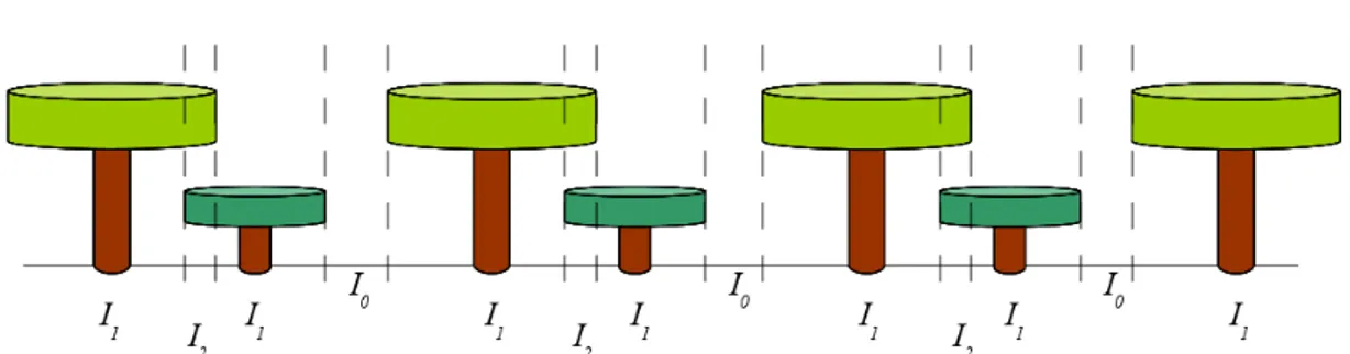 Fig. 19: Discretizzazione orizzontale nel calcolo della quantità di luce intercettata e disponibile per il   suolo