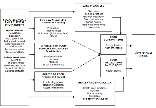Figura 1  Quadro  concettuale  delle  possibili  cause  di  basso  consumo  alimentare  e  di precarie condizioni nutrizionali