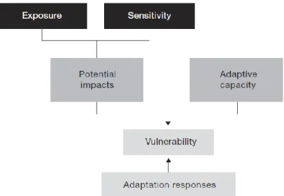 Figura 3:  Componenti della vulnerabilità di un sistema territoriale al cambiamento  climatico 