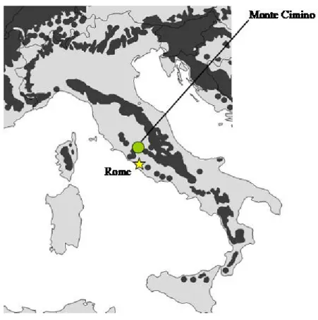 Fig. 8. Geographic distribution of F. sylvatica in Italy (dark  area; Von Wuehlisch 2006), together with the position of study  sites in Monte Cimino area