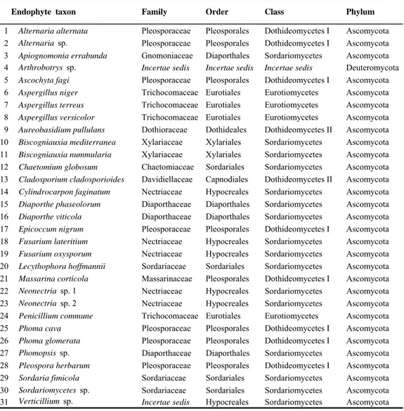 Tab. 3. List of total taxa identified in alphabetical order and taxonomic setting. 