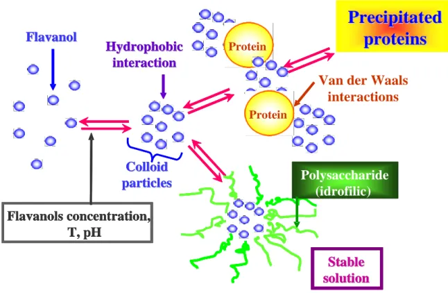 Figure 3: Proteins precipitation via interaction with tannins.  