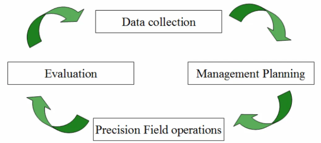 Figure 2.2.1.1: The cyclic scenery of the precision farming approach (adapted from Sudduth, 1999)