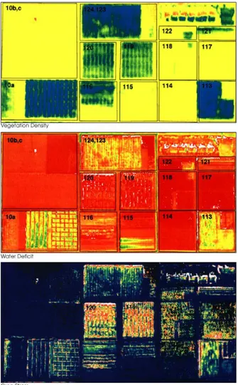 Figure 2.2.1.2: Three false-colour images to demonstrate some of the applications of remote sensing in precision 