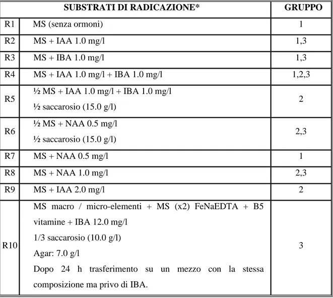 Tabella 5 –  Substrati utilizzati per le prove preliminari di radicazione in vitro di Limonium a seconda del  gruppo di appartenenza