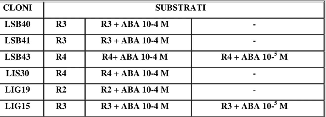 Tabella 7 – Prove preliminari di radicazione in vitro su substrati arricchiti con ABA