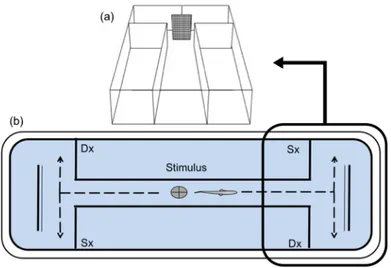 Fig. 25: Schema del set-up sperimentale del Detour test: (a) visione in pianta della vasca; (b) ingrandimento prospettico  dell’area in cui l’individuo aggira la barriera