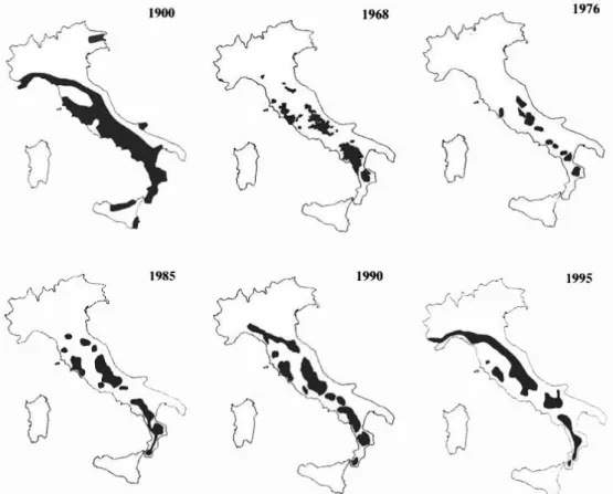 Figura 2.  Variazioni dell‟areale del Lupo in Italia nell'arco del XX secolo. (da Boitani, 2003) 