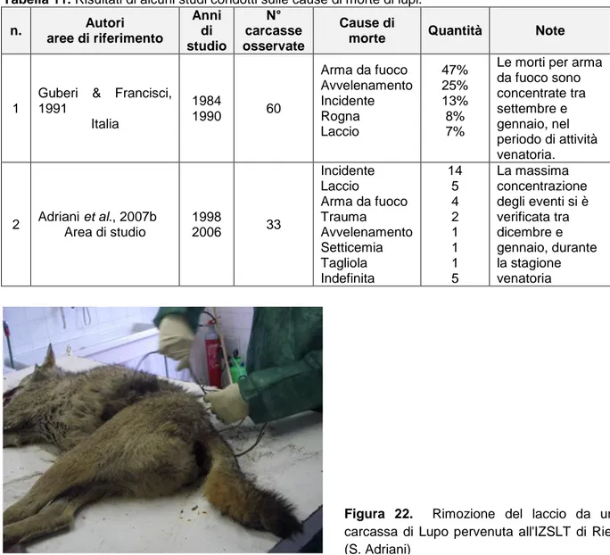 Tabella 11. Risultati di alcuni studi condotti sulle cause di morte di lupi. 