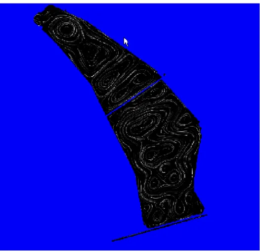 Fig. 5.10 - Simulazione 2A: vento di libeccio di 8 m/sec ed evaporazione di 4 mm/die